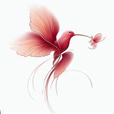 Draw a hibiscus flower that transforms into a hummingbird.