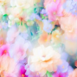 Make a background composed of vibrant flowers in full bloom with a dreamlike quality.. Image 3 of 4