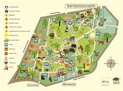 Image result for Small Zoo Layout