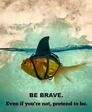 Image result for Funny Quotes About Being Brave