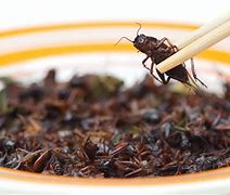 Image result for Eating Crickets