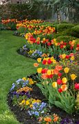 Image result for Tulip Garden Design