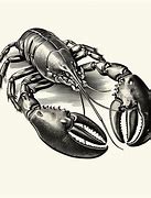 Image result for 19Mm Gunmetal Lobster Claw Clasp