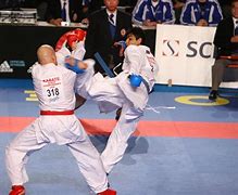 Image result for Karate Sport