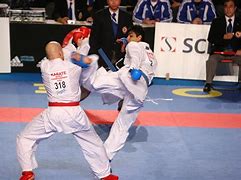 Image result for Japanese Karate