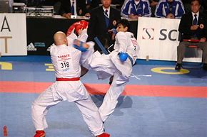 Image result for Tye Cheney the Type of Karate