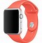 Image result for Apple Watch DFU
