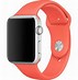 Image result for Orange Brown Apple Watch Nylon Band