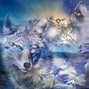 Image result for Cute Anime Wolves