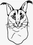 Image result for Floppa Caracal Sticker