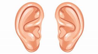 Image result for Cover Ears Clip Art