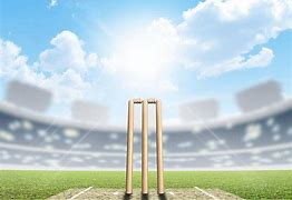 Image result for Cricket Pitch