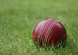 Image result for Cricket Tennis Ball