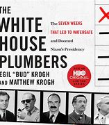 Image result for NYS Capitol White House Plumbers