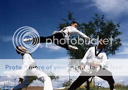 Image result for Top Martial Artists of All Time