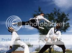 Image result for Best Martial Arts