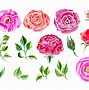 Image result for Flower and Leaves Clip Art