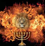 Image result for Israel Lion Wallpaper 4K