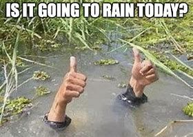 Image result for Rainy Tuesday Meme