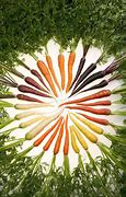 Image result for Medium Size Carrot