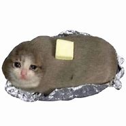 Image result for Crying Cat Meme PNG
