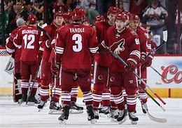 Image result for The Coyotes Hockey Team