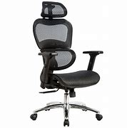 Image result for Ergonomic Chair with Hard Mesh Back