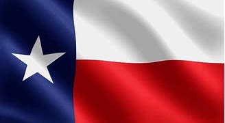 Image result for Texas Flag