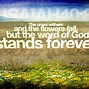 Image result for Don't Look Back Scripture