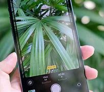 Image result for Ảnh Camera iPhone 14