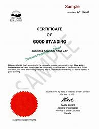 Image result for Business Certificate of Good Standing