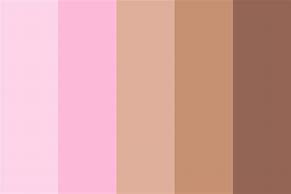 Image result for Brown and Pink Color Palette Hex