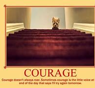 Image result for Funny Quotes About Courage