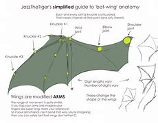 Image result for How to Draw Bat Wings