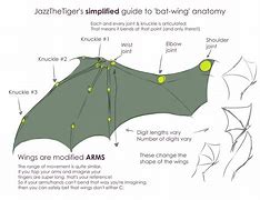 Image result for Folded Bat Wings Drawing