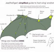 Image result for Bat Wing Shape
