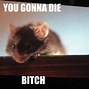 Image result for Mice Memes Funny