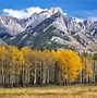 Image result for Aspen Colorado Landscape Images