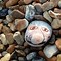 Image result for Pebble Faces