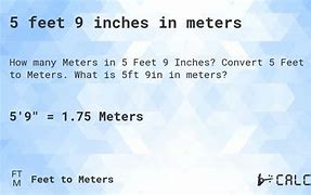 Image result for Five Foot Two in Meters