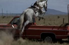 Image result for Sylvester Horse Movie