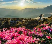 Image result for Taiwan Natural Beauty