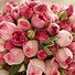 Image result for Best Bouquet of Flowers