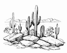 Image result for Places to Sketch in Southern Arizona