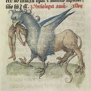 Image result for Medieval Bestiary