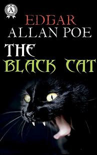 Image result for Black Cat Project Edgar Allan Poe
