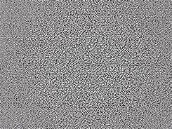 Image result for Black White Noise Texture