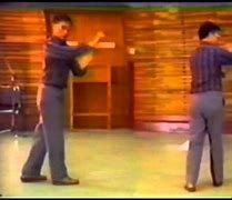 Image result for Tai Chi 108 Movements