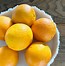 Image result for Dried Oranges