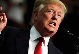 Image result for Trump Lips